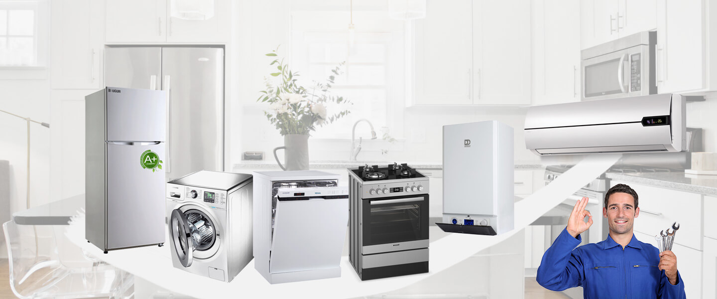 Güney Electrolux Servisi